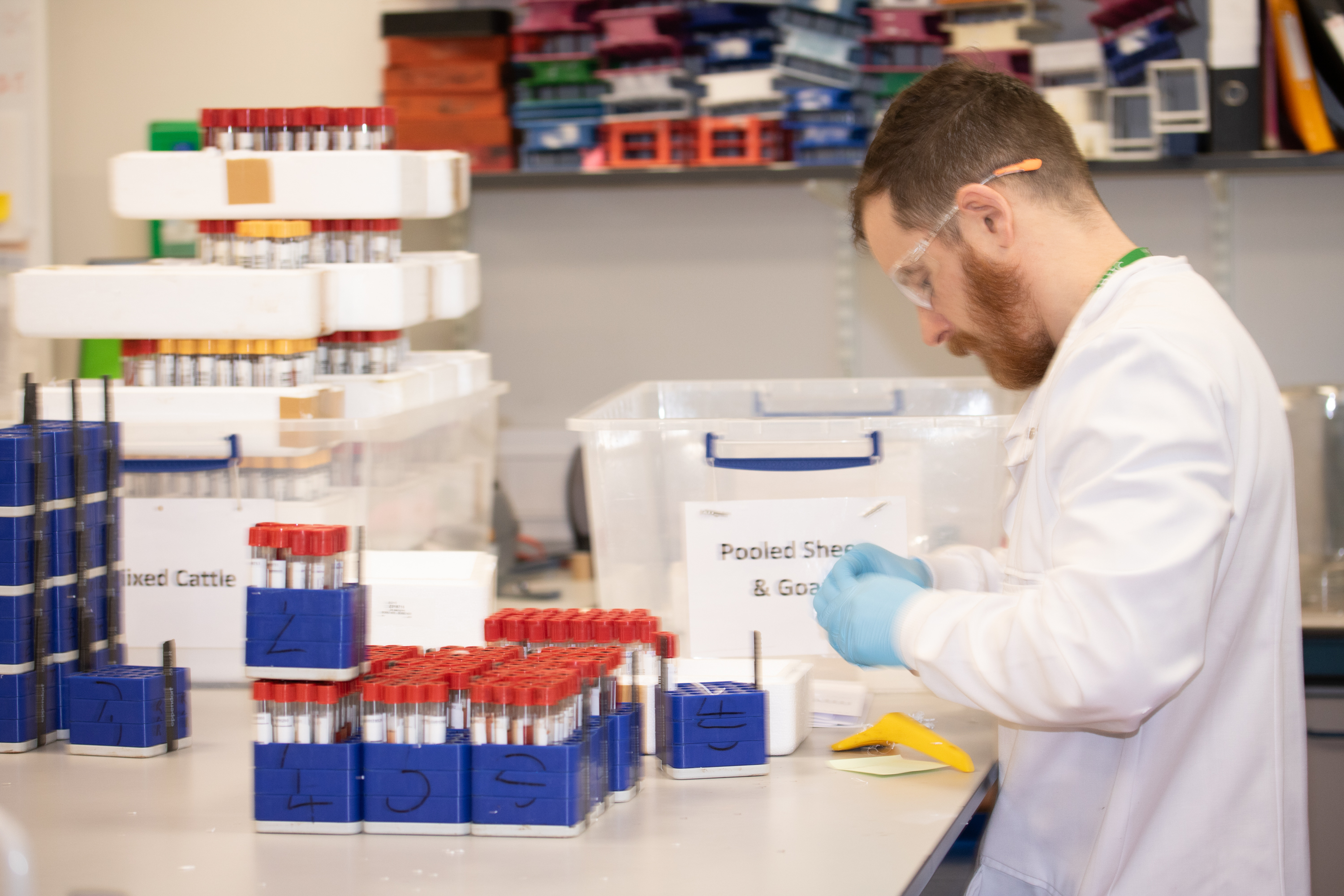Safe Sample Packaging: A Reminder for Veterinary Practices | SRUC