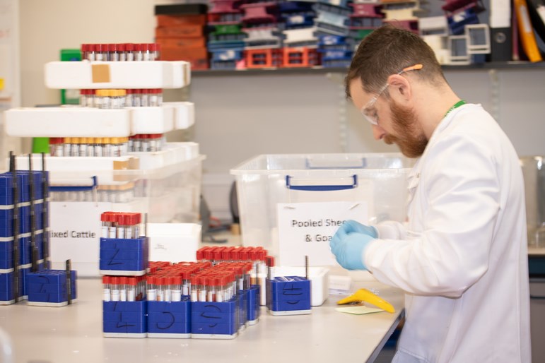 Sample processing at SRUC lab