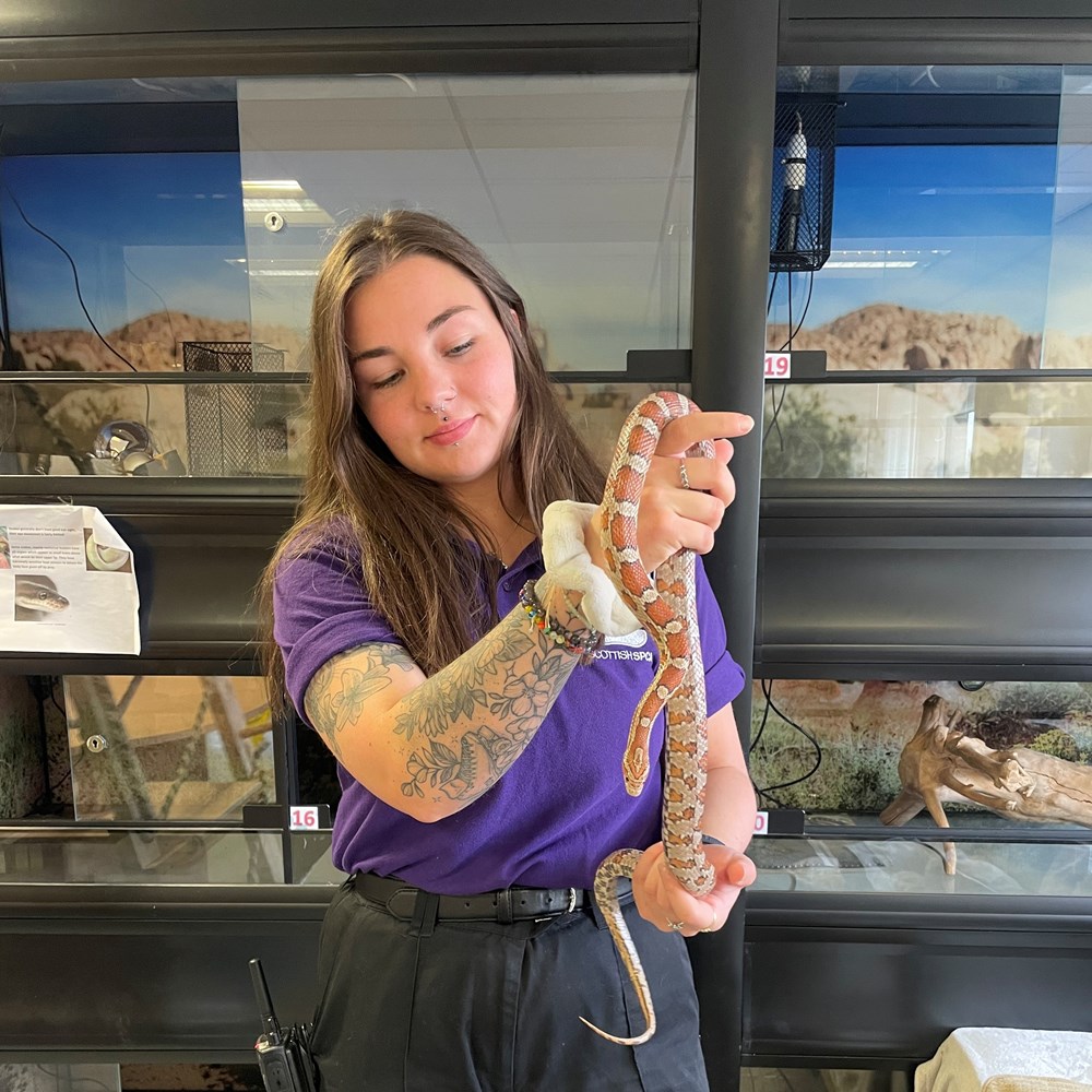 Woman holding a snake