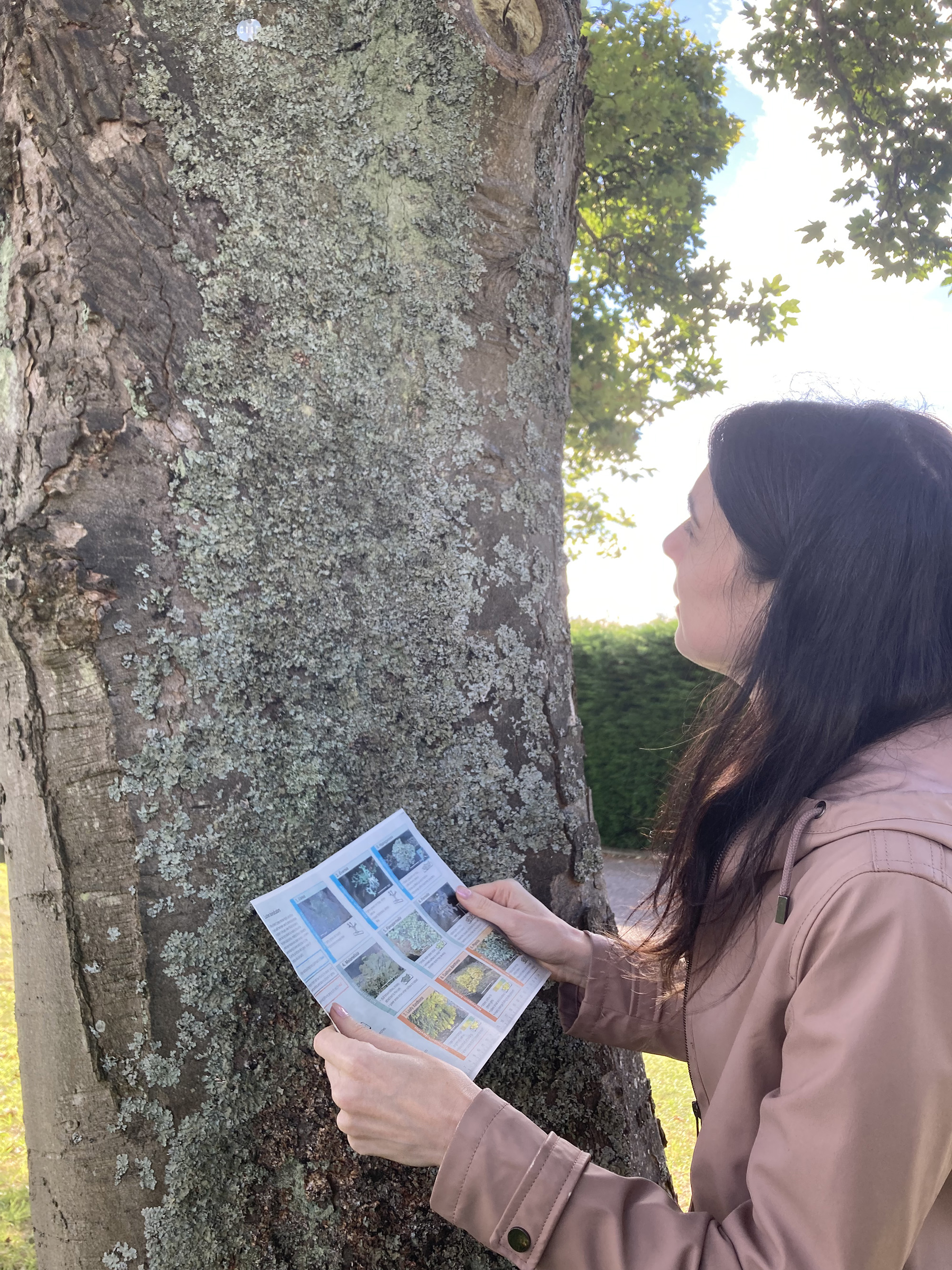 SRUC Short Courses | Basic Tree Survey and Inspection