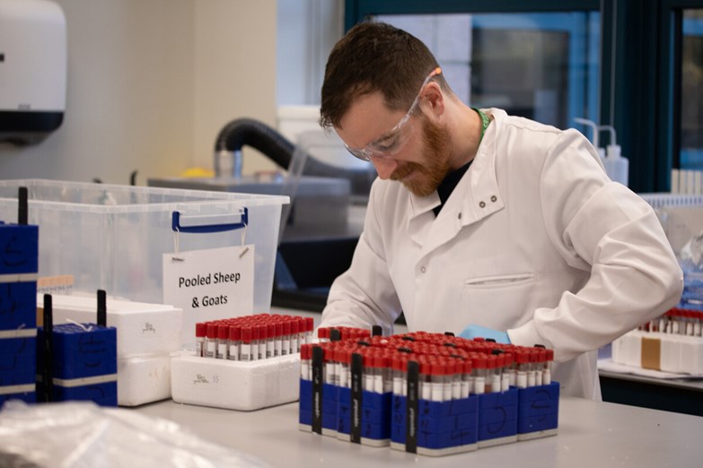 A laboratory scientist sorting samples