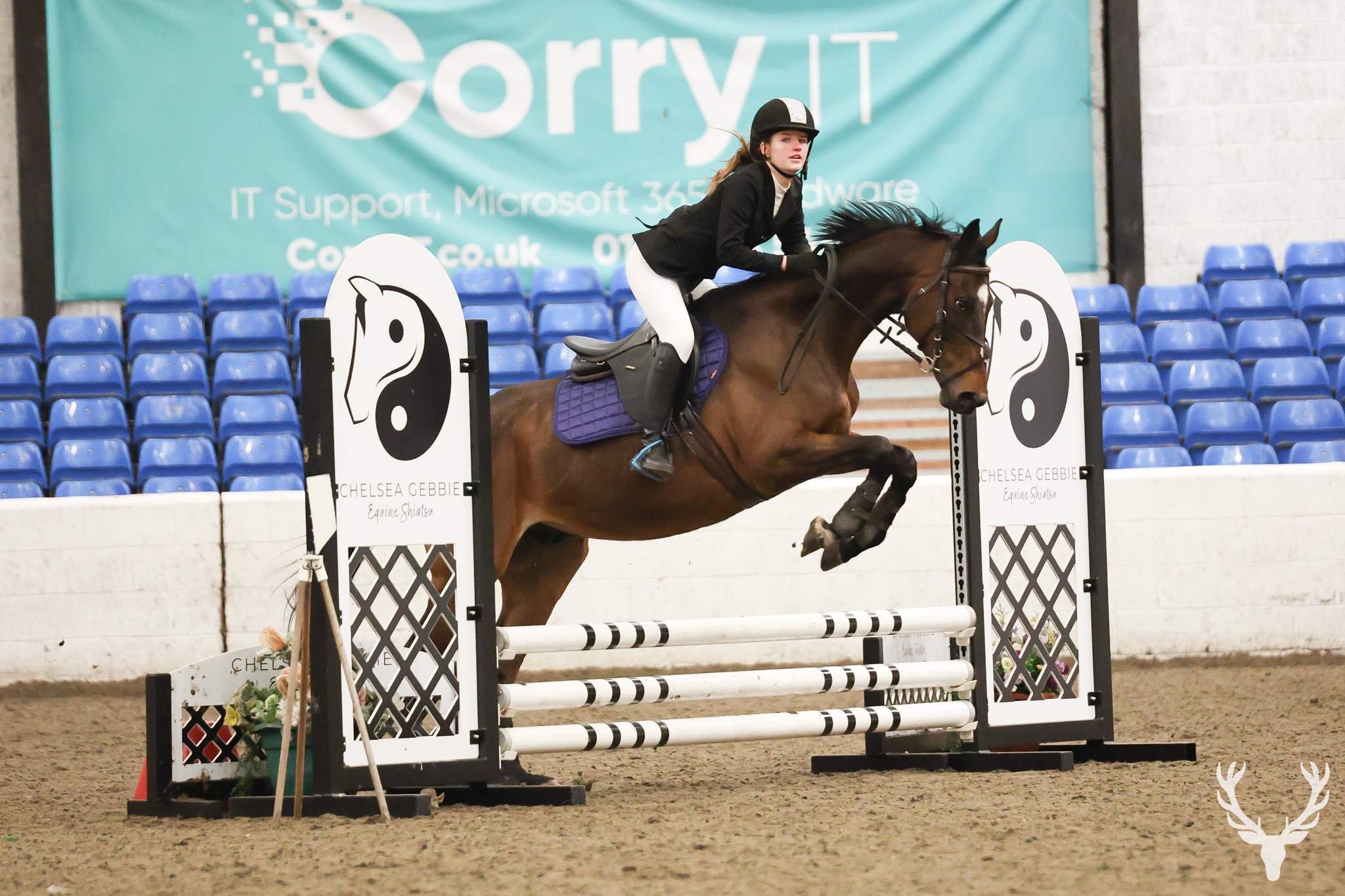 Woman on a horse, doing show jumping.