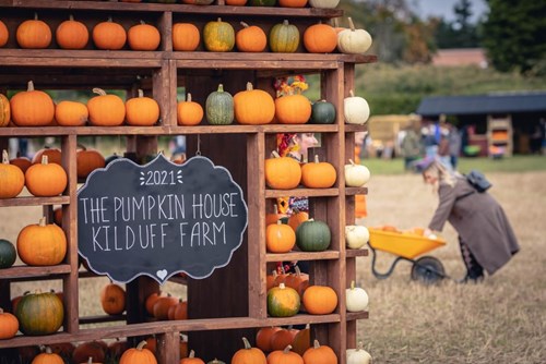 The Pumpkin House Kilduff Farm