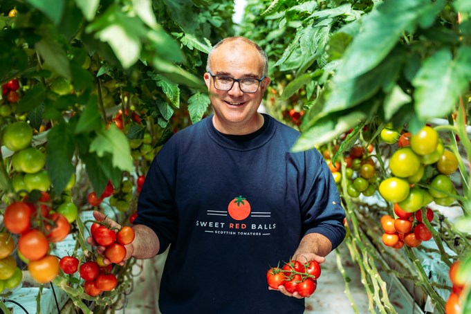 A man is standing in his tomato farm holding up some ripe tomatoes in his hands