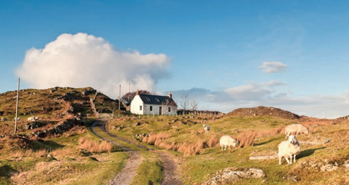 Croft