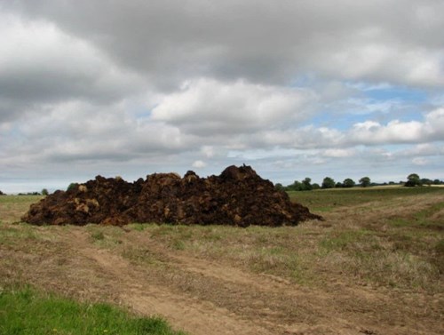 Muck pile