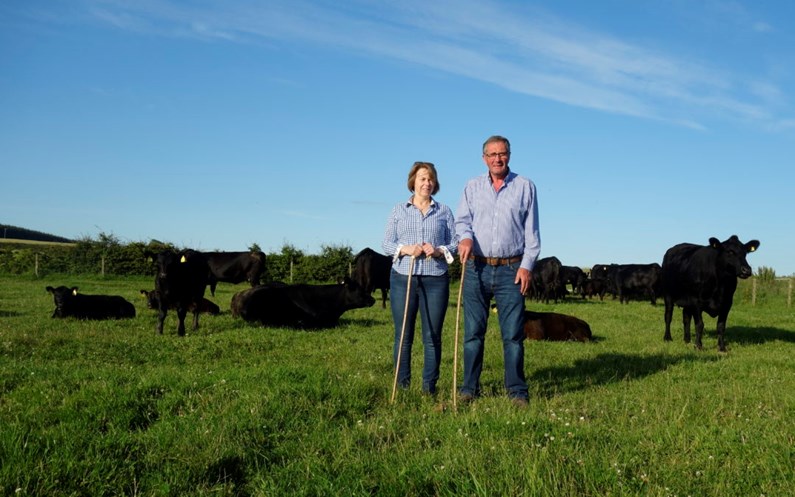 A man and woman, standing in a paddock with cows